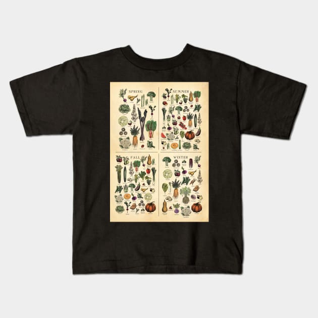 American Northeast Seasonal Fruit and Vegetable vintage etching. Kids T-Shirt by Highdown73